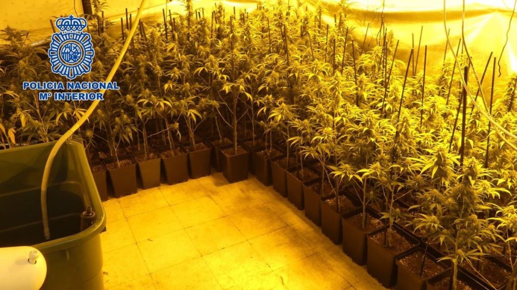 Tres detenidos y desmantelada una plantación indoor de marihuana en el distrito de Latina
