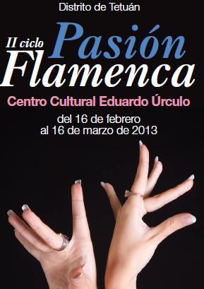 flamenco.JPG
