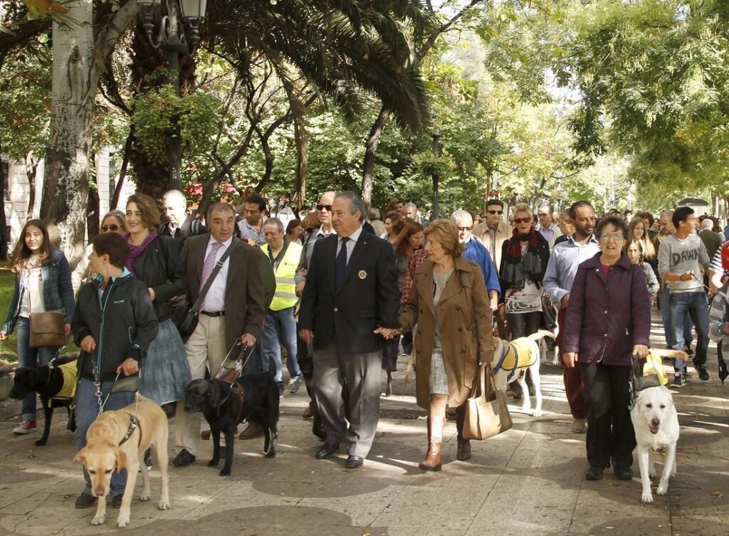 Imagen de archivo de uno de los paseos con perros guía por Madrid 2.JPG