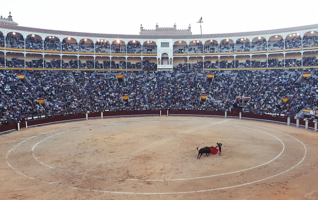 bullfight-406865_1920.jpg