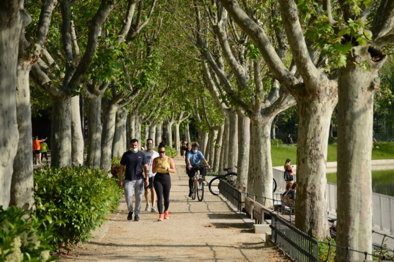El Retiro y otros ocho parques de Madrid mantendrán zonas balizadas por la alerta amarilla