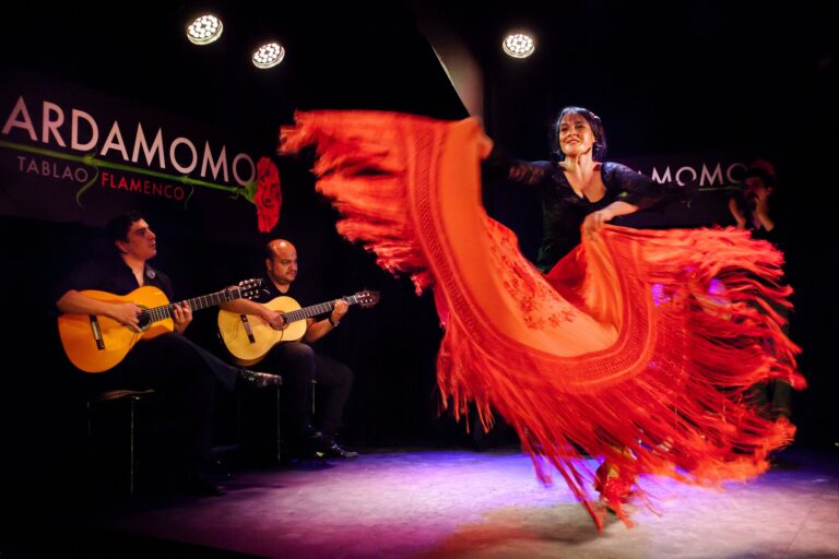 PP Centro defiende el flamenco “como herramienta de integración de las personas”